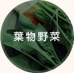 葉物野菜