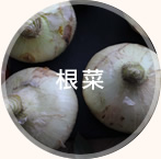 根菜